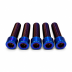 Bash Guard Titanium Bolts (5)