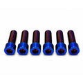 Motor Cover Titanium Bolts (6)