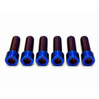 Motor Cover Titanium Bolts (6)