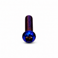 Brake Line Titanium Bolt (1)