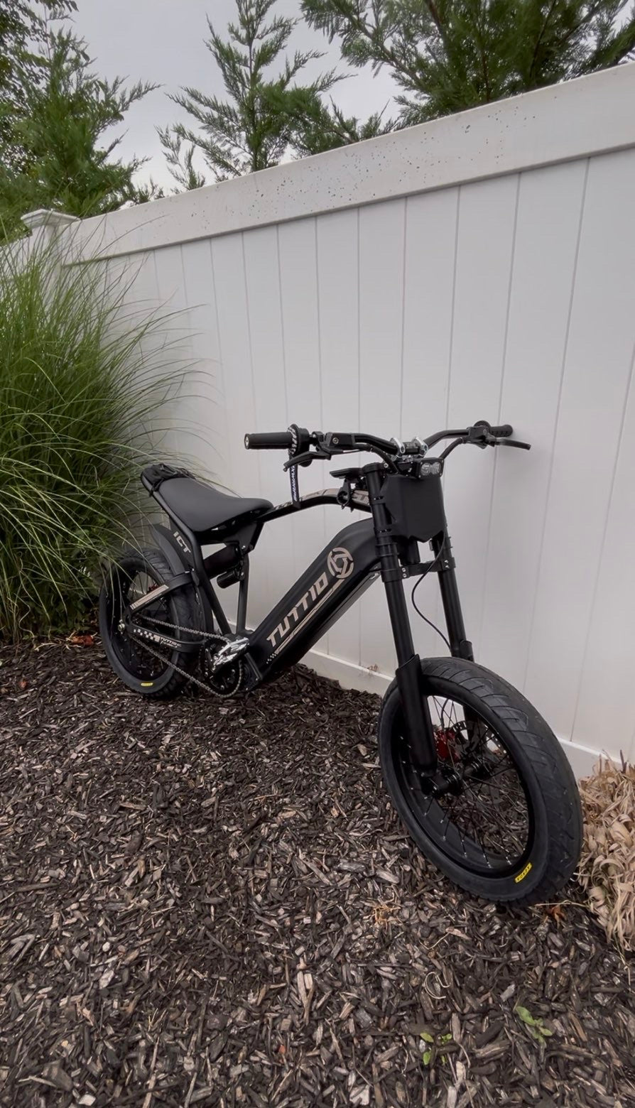 FAT TIRE SUMOS